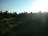 06 : 42