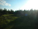 06 : 50