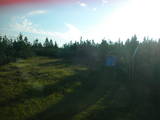 07 : 06