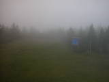 17 : 50