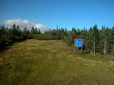 17 : 42