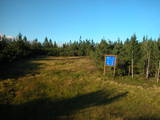 19 : 10
