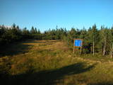 19 : 14