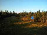 19 : 46