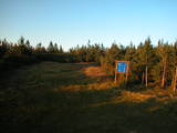 19 : 50