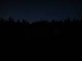 21 : 14