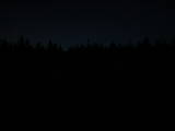 21 : 18