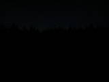 21 : 22