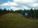 15 : 50