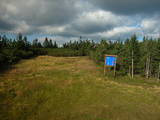 17 : 50