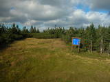 17 : 54