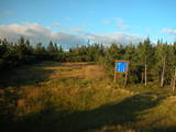 19 : 22