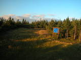 19 : 42