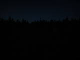 21 : 14