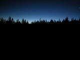 04 : 46