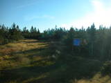 07 : 54