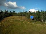 17 : 38