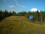 17 : 46