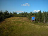 17 : 50