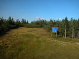 17 : 54