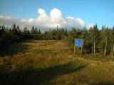 19 : 06