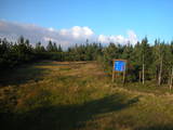 19 : 10