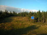 19 : 14