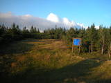 19 : 22
