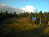 19 : 26