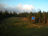 19 : 42