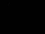 22 : 02