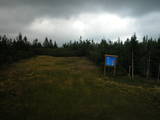 14 : 10