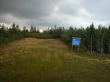 14 : 54