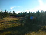 08 : 06