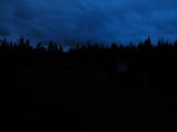 20 : 38
