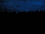 20 : 42