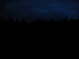 20 : 50