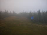 19 : 22
