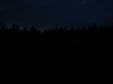 20 : 50