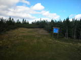 15 : 50