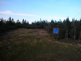 19 : 46