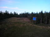 19 : 50