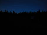 20 : 50