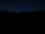 20 : 54