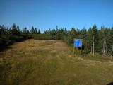 17 : 38