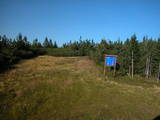 17 : 42