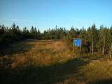 19 : 10
