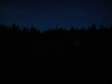 20 : 50