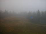 09 : 46