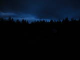 19 : 42